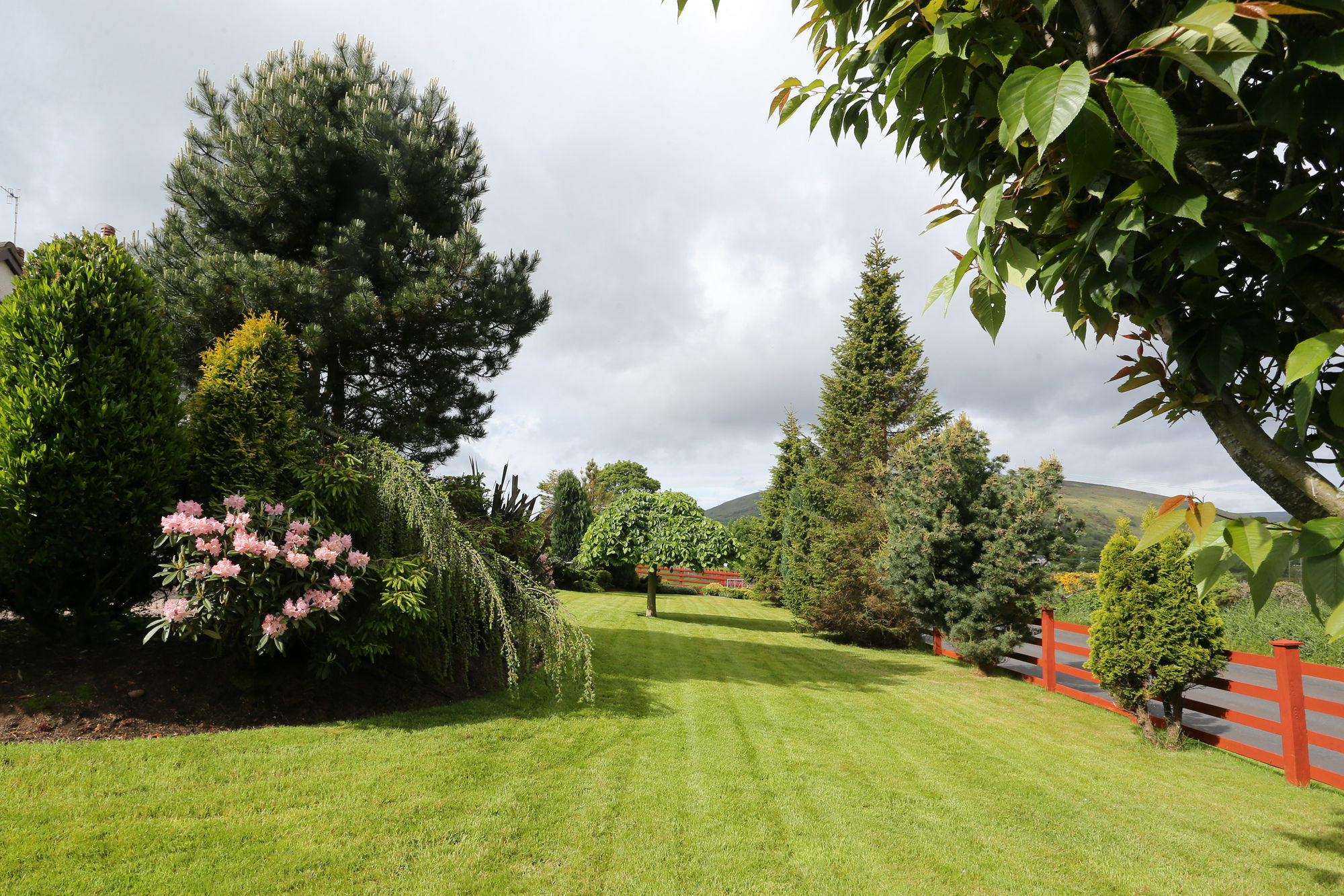 Sleepy Hollow B&B Ballymena Eksteriør bilde