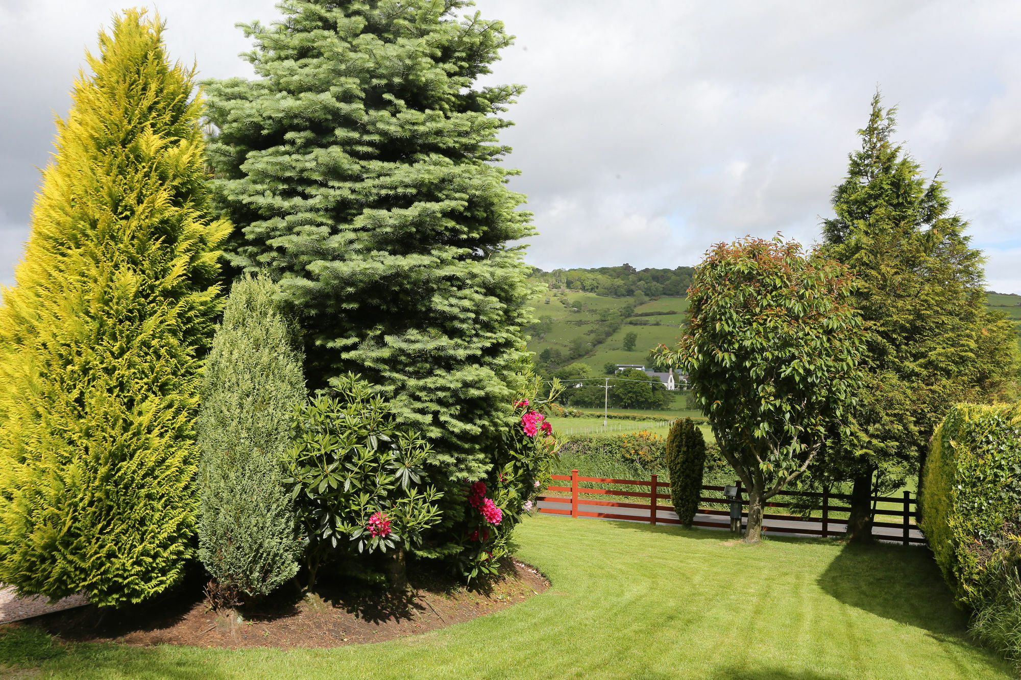 Sleepy Hollow B&B Ballymena Eksteriør bilde