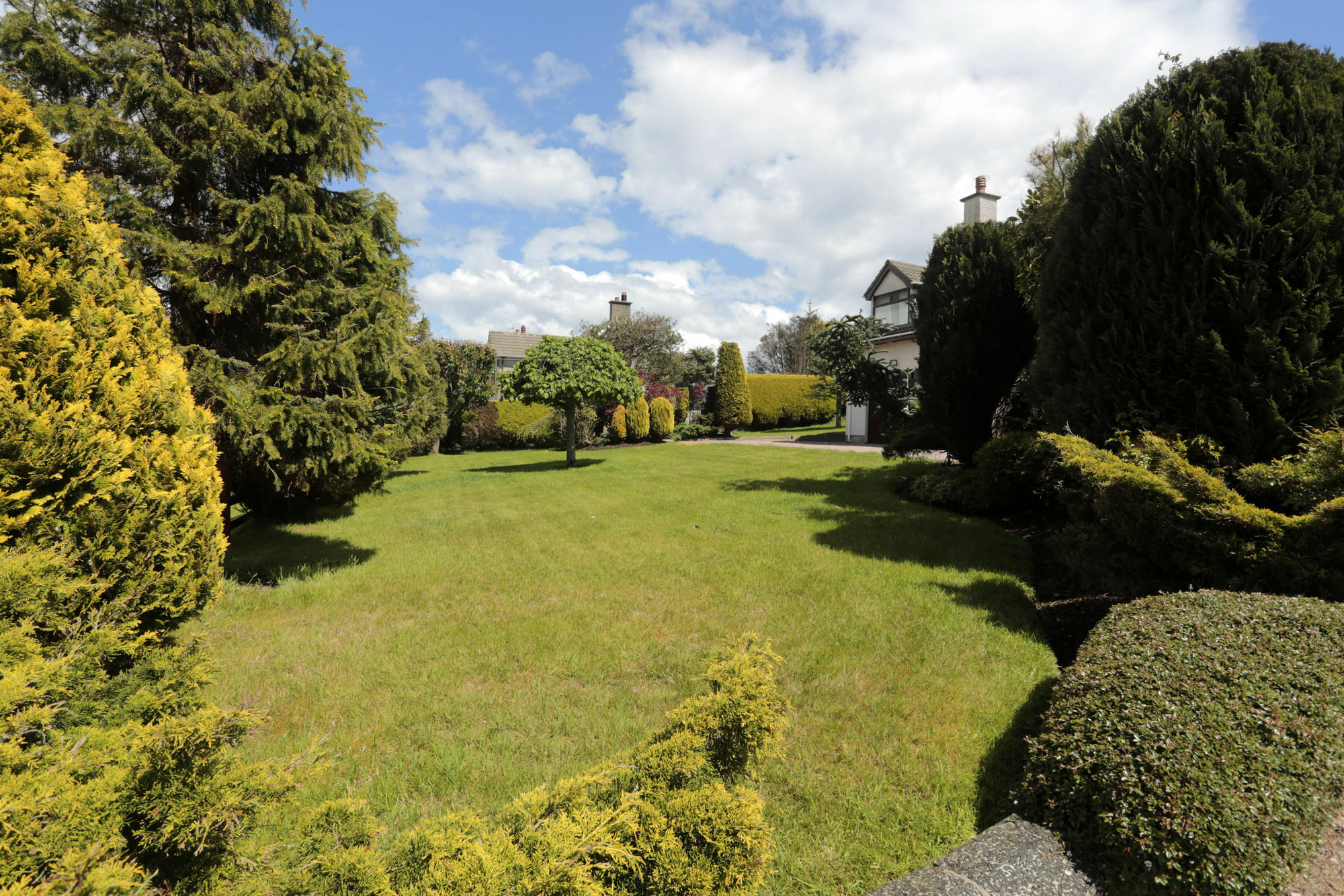 Sleepy Hollow B&B Ballymena Eksteriør bilde